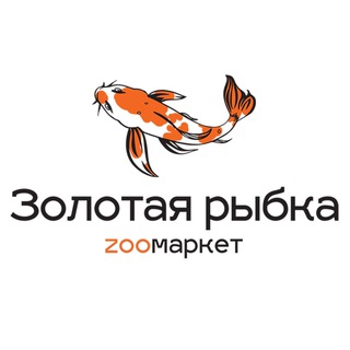 Золотая рыбка | Зоомагазин Саратов
