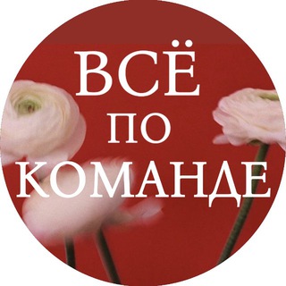 Всё по команде