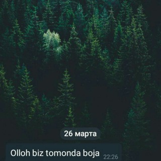 Z̫͙̫̾̾̾̾o̫͙̫̾̾̾̾ℓ̫͙̫̾̾̾̾o̫͙̫̾̾̾̾t̫͙̫̾̾̾̾o̫͙̫̾̾̾̾ყ̫͙̾̾̾ Ζοηą