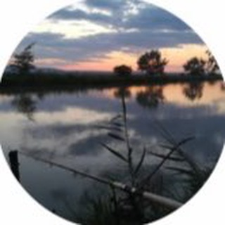 Золотой Карась