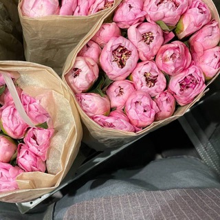 дневник читателя