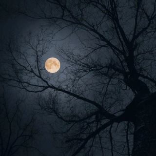 Высшая Магия. Практикум.