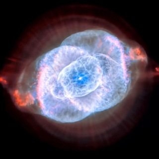 ЗОНА СМЫСЛА