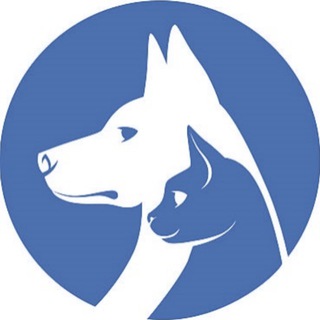 Новости зообизнеса 🐾