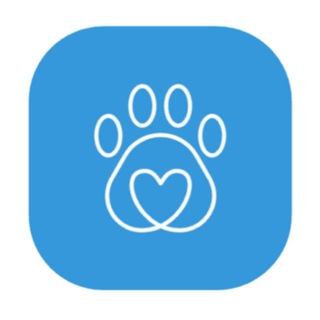 🐶Зооателье🐶