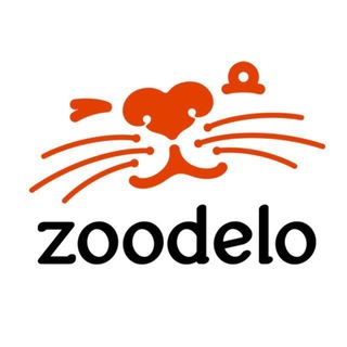 ZOODELO - зоомагазин