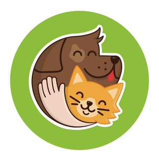 Усы, лапы, Екб