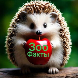 Зоофакты.