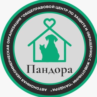 <<ЗОО ПАНДОРА >> г. Калуга