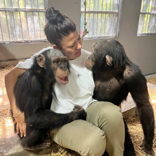 Зообудни 🐾