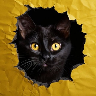 Жизнь "Зоошанса"