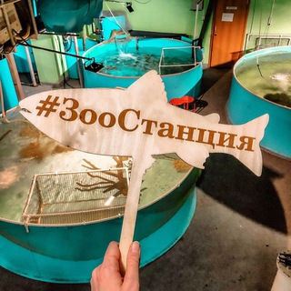 Царство Животных | ЗооСтанция Московская