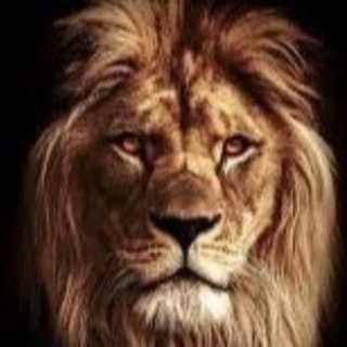 Зов Природы 🦁