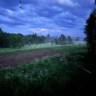 Охотники и следопыты