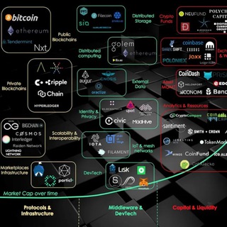 Zuch Crypto World Intelligence
