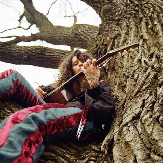 Зверь Дикий побежал!