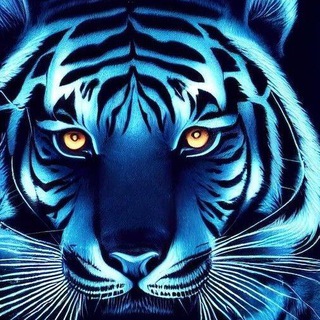 🐱ЗВЕРИНЫЙ НРАВ🐶