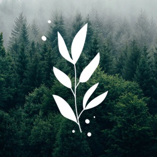 Ресторан уральской кухни «Зверобой»