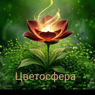 Цветосфера