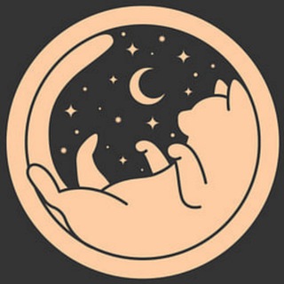 🐈‍⬛ Кот-Звездочёт | Гороскоп