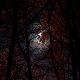 звездопад персеиды🌌