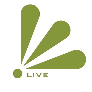 Заволжье | Городец LIVE