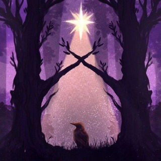 Звезда над Домом